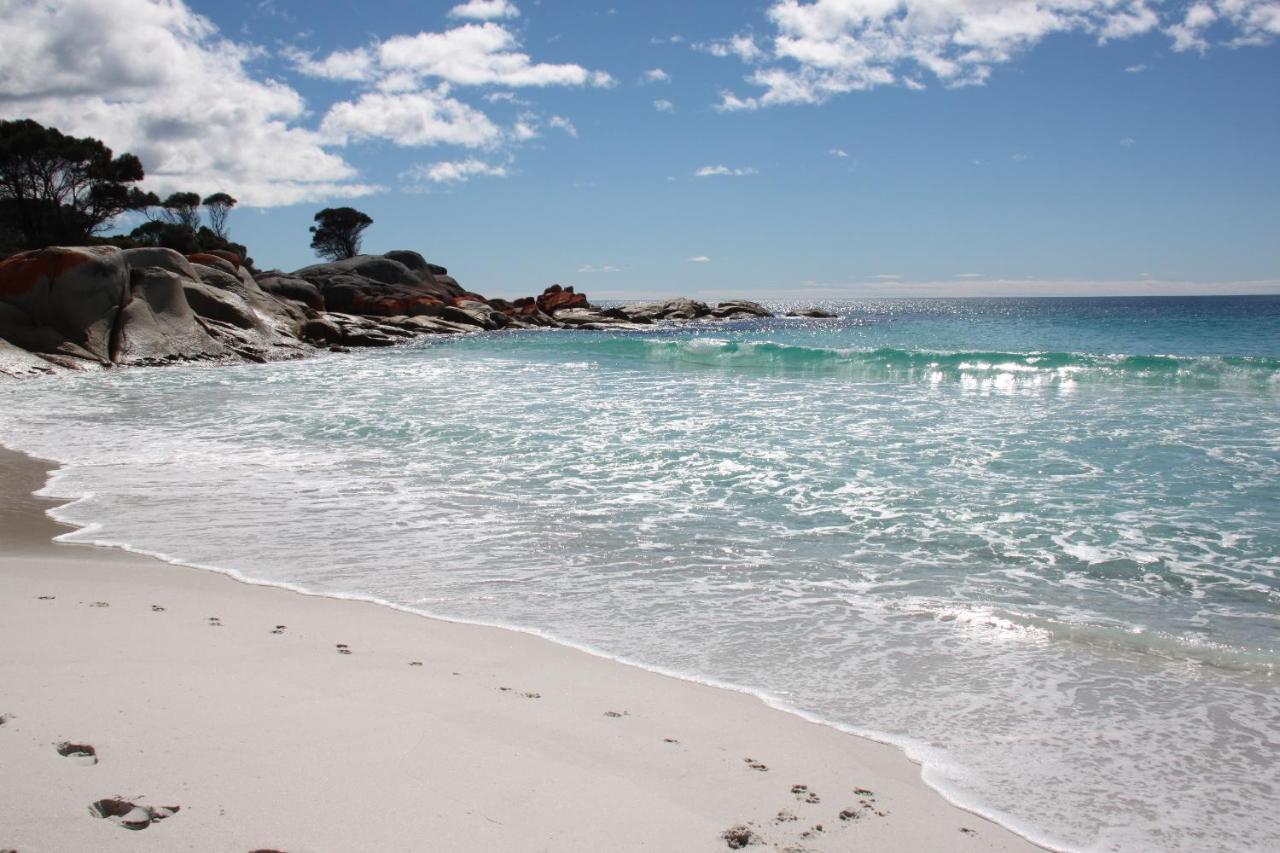 Binalong Bay Sea Eagle Cottage Amazing Views Of Bay Of Fires מראה חיצוני תמונה